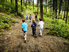 group of kids walking in the forest