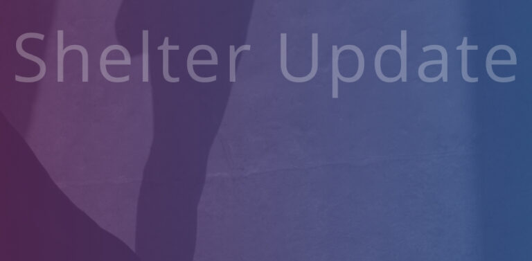 Silhouette of a woman standing on a sidewalk with a dark blue and purple gradient overlay. Text: Shelter Update