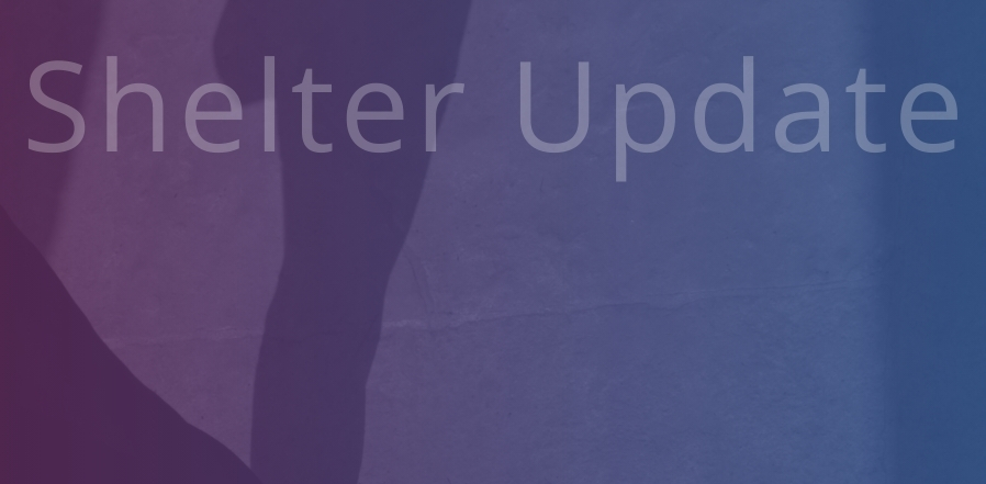 Silhouette of a woman standing on a sidewalk with a dark blue and purple gradient overlay. Text: Shelter Update