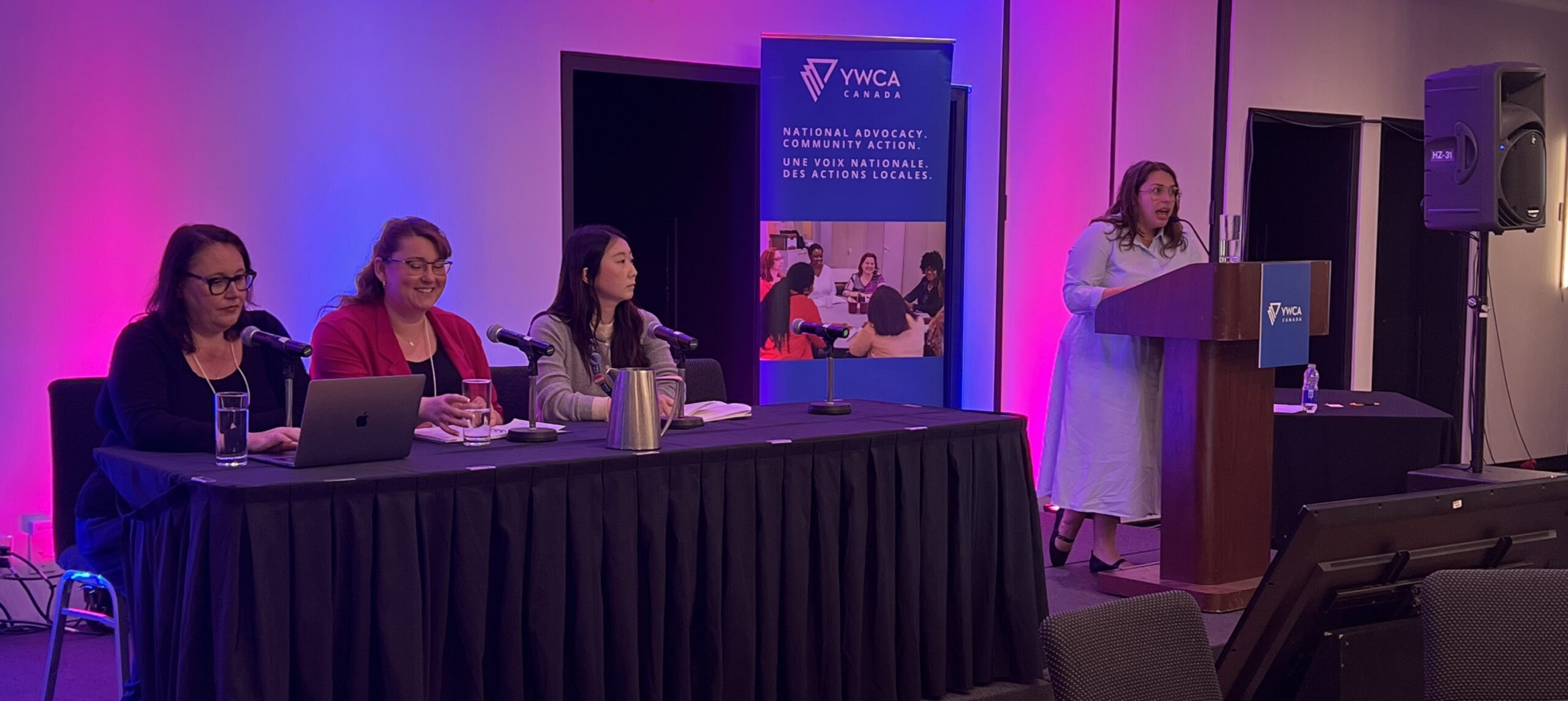 Kristina speaking at AAM panel