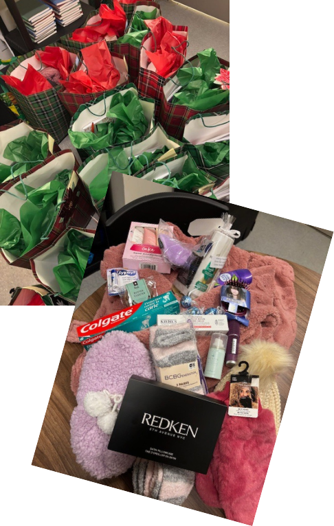 4 completes puzzles from shelter