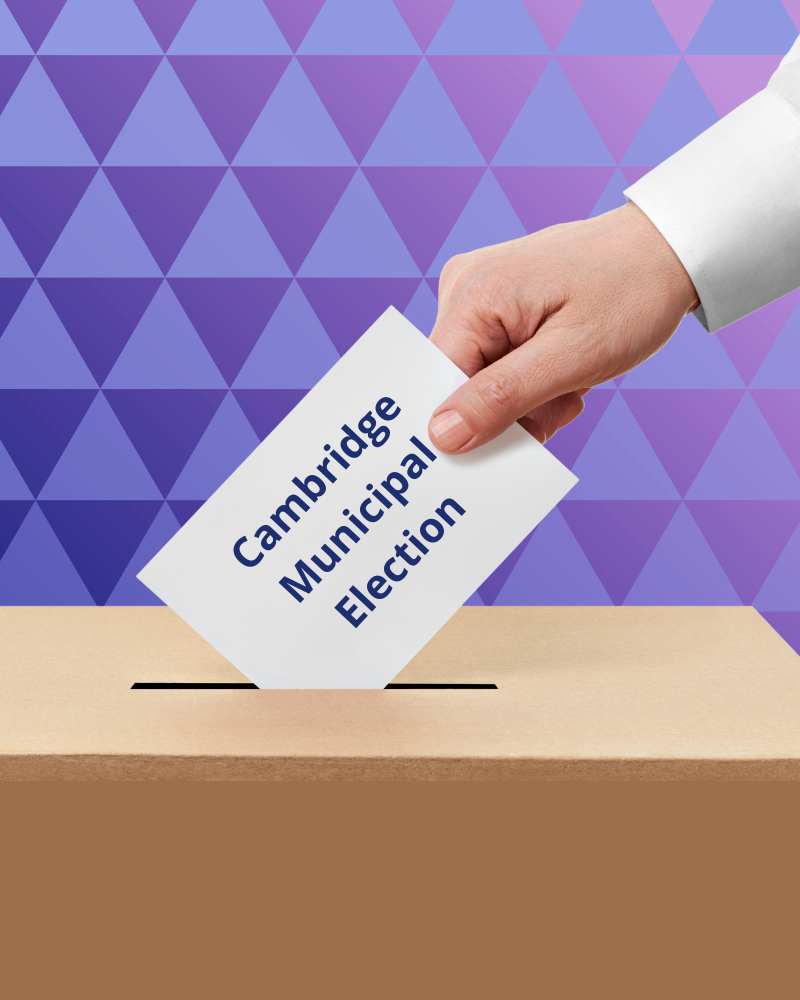 a hand putting a ballot in a box with a patterned background